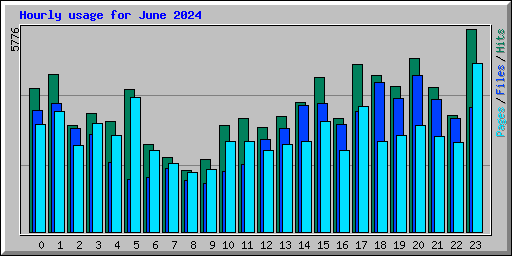 Hourly usage for June 2024