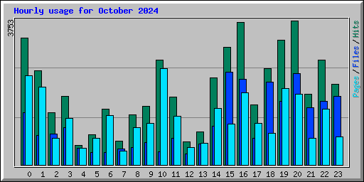 Hourly usage for October 2024